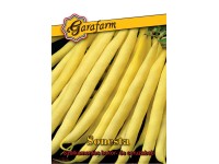 Sárgahüvelyű bokorbab Sonesta Sárgahüvelyű bokorbab Sonesta