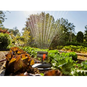 Gardena Aqua Zoom Compact négyszögletes esőztető zöldségeskertet öntöz. Használatban lévő esőztető vízsugarakkal.