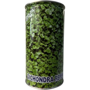 Dichondra Repens fűmag konzervdobozban, alkalmas gyepjavításhoz és új telepítéshez.