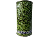 Dichondra Repens fűmag 0,5 kg