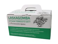Laskagomba termőblokk  2,5 kg