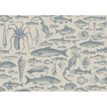 Komar Sea Study vliestapéta 350 cm x 250 cm