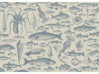 Komar Sea Study vliestapéta 350 cm x 250 cm