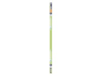 Osram fénycső G13 cső alakú 36 W 3250 lm 121,4 cm x 2,55 cm (Ma x Át)