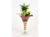 Növénykompozíció trombita alakú vázában cserépátmérő: kb. 16 cm Növénykompozíció trombita alakú vázában cserépátmérő: kb. 16 cm