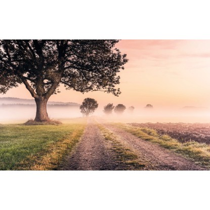 Komar vlies fotótapéta Misty Morning 400 cm x 250 cm