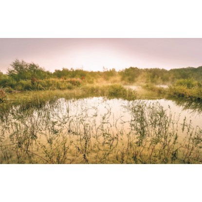 Komar vlies fotótapéta Morning View II 400 cm x 250 cm