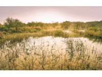 Komar vlies fotótapéta Morning View II 400 cm x 250 cm