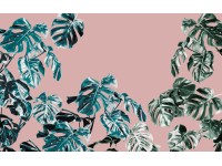 Komar vlies fotótapéta Monstera Rosé 400 cm x 250 cm