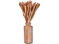 Lux Desert Flower szárított virágok vázában 30 cm sötétbarna