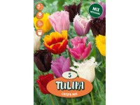 Crispa tulipán mix Crispa tulipán mix
