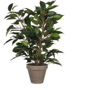Mica Decorations műnövény Ficus Natasja, 40 cm magas, szürke cserépben. Dekoratív fikusz.