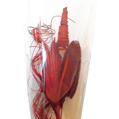 Növényekből álló díszkészlet piros