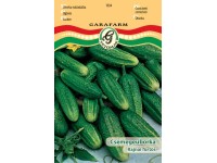 Uborka Rajnai F. vetőmag Uborka Rajnai F. vetőmag