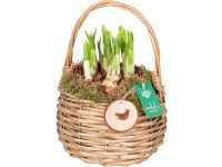 Tavaszi kompozíció 