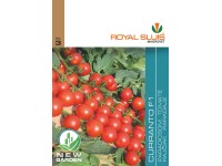 Paradicsom Curranto F1 20 Szem