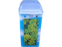 OBI rucaöröm pohárban cserépátmérő kb. 11 cm Salvinia natans OBI rucaöröm pohárban cserépátmérő kb. 11 cm Salvinia natans