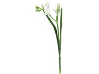 Művirág frézia krémszínű 60 cm