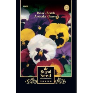 Mag csomag színes árvácskával a Royal Seed-től.