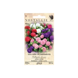 Astra Nostalgie Mix: Krizantémvirágú törpe őszirózsa, különböző színekben.