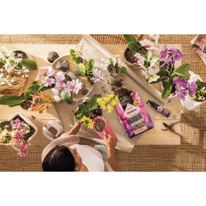 Lechuza Orchidpon ültetőközeg (6L) orchideák átültetéséhez. Speciális talaj műtrágyával a vibráló virágzáshoz.