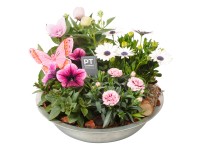 Szobanövény-válogatás cink cserépben cserépátmérő kb. 31 cm