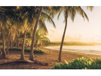 Komar vlies fotótapéta Golden Lands 400 cm x 250 cm