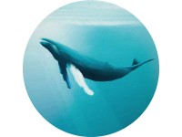 Komar nemszőtt fotótapéta Dot Whale Watching öntapadó átmérő 125 cm