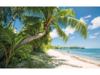 Vlies fotótapéta Fiji Dreams Boat 450 cm x 280 cm