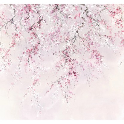 Komar vlies fotótapéta Kirschblüten 300 cm x 280 cm