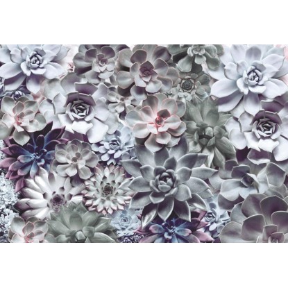 Komar fotótapéta Shades 368 cm x 254 cm FSC