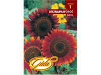 Dísznapraforgó red sun  gála 1
