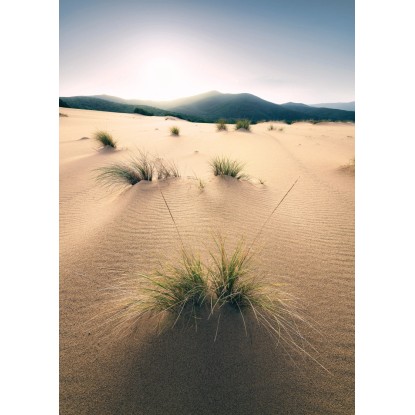 Vlies fotótapéta Vivid Dunes 200 cm x 280 cm