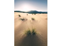 Vlies fotótapéta Vivid Dunes 200 cm x 280 cm