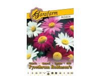 Prémium vetőmag margaréta