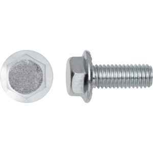 SW10 Hatlapfejű karimás csavar fehér horganyzott M6 x 20 mm 8 db
