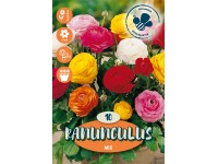 Boglárka színkeverék