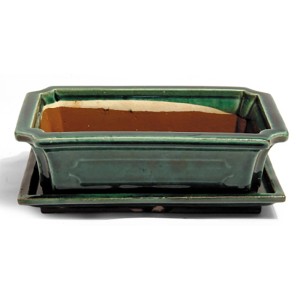 Zöld bonsai tál alátéttel, kb. 25 cm átmérőjű. Ideális bonsai fákhoz.