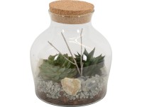 Pozsgás növény kompozíció üvegpalackban cserép hossza kb. 19 cm