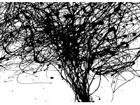 Komar fotótapéta gyapjú Curls 350 cm x 250 cm