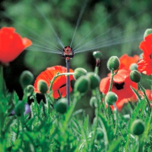Gardena 6-felületű szórófej használat közben, a Micro-Drip-System része a rugalmas kerti öntözéshez.