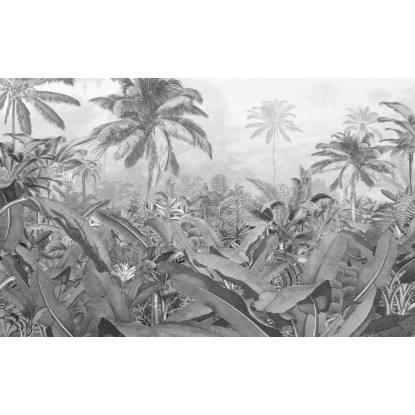 Komar nemszőtt fotótapéta Amazonia Black and White 400 cm x 250 cm