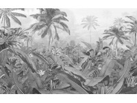 Komar nemszőtt fotótapéta Amazonia Black and White 400 cm x 250 cm