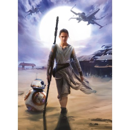 Komar fotótapéta STAR WARS Rey 184 cm x 254 cm FSC