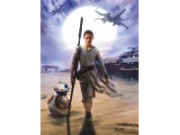 Komar fotótapéta STAR WARS Rey 184 cm x 254 cm FSC Komar fotótapéta STAR WARS Rey 184 cm x 254 cm FSC