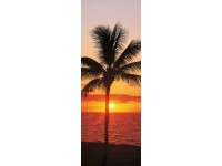 Komar vlies fotótapéta Hawaii 100 cm x 280 cm Komar vlies fotótapéta Hawaii 100 cm x 280 cm