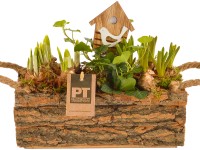 Kompozíció különböző tavaszi virágokkal fa ládában cserépátmérő: kb. 25 cm