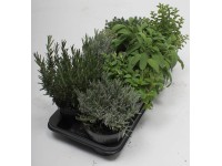 Grill fűszer mix 12 cm Grill fűszer mix 12 cm